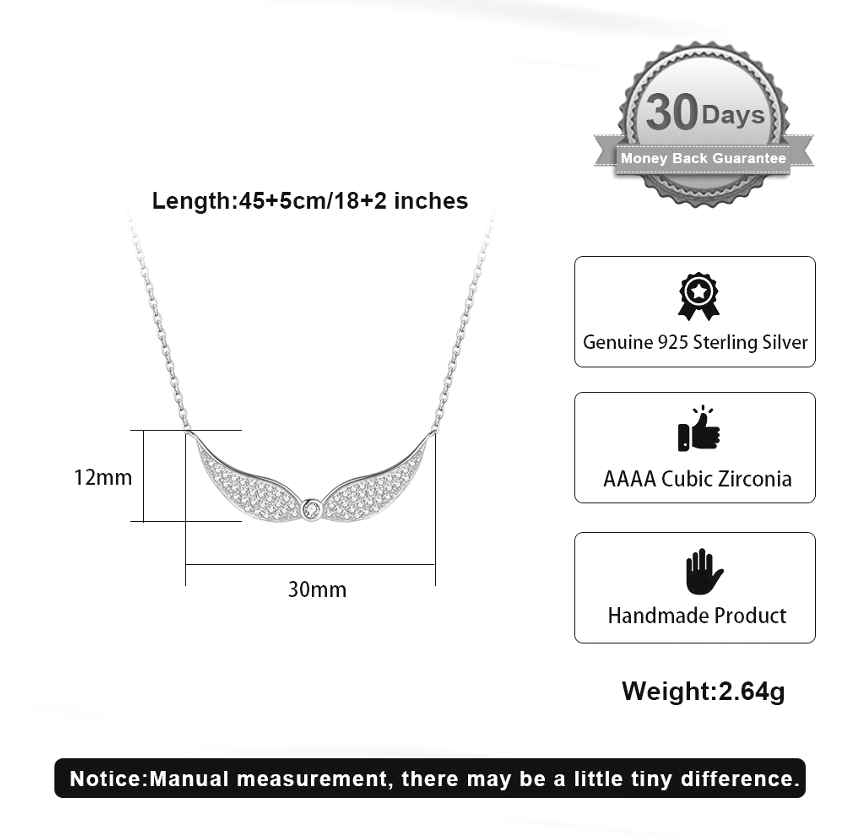 Pameer Store 925 Sterling Silver Rhodium Plated Angel Wings Cubic Zirconia Pendant Necklace - Image 3